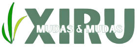 Logo da Xiru Mudas | Tifton & Jiggs