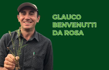 Xiru Mudas & Mudas | Tifton e Jiggs oferece as melhores mudas de Tifton e Jiggs. Descubra nossa variedade de mudas de qualidade, incluindo Tifton e Jiggs para o seu projeto de paisagismo. Garantia de mudas saudáveis e vigorosas.